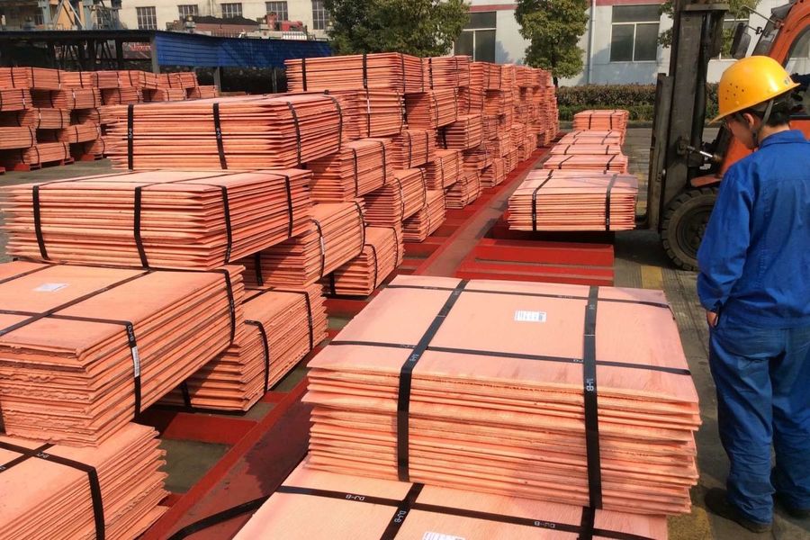 CINA Jiangsu Xintaiming Technology Co., Ltd. Profil Perusahaan